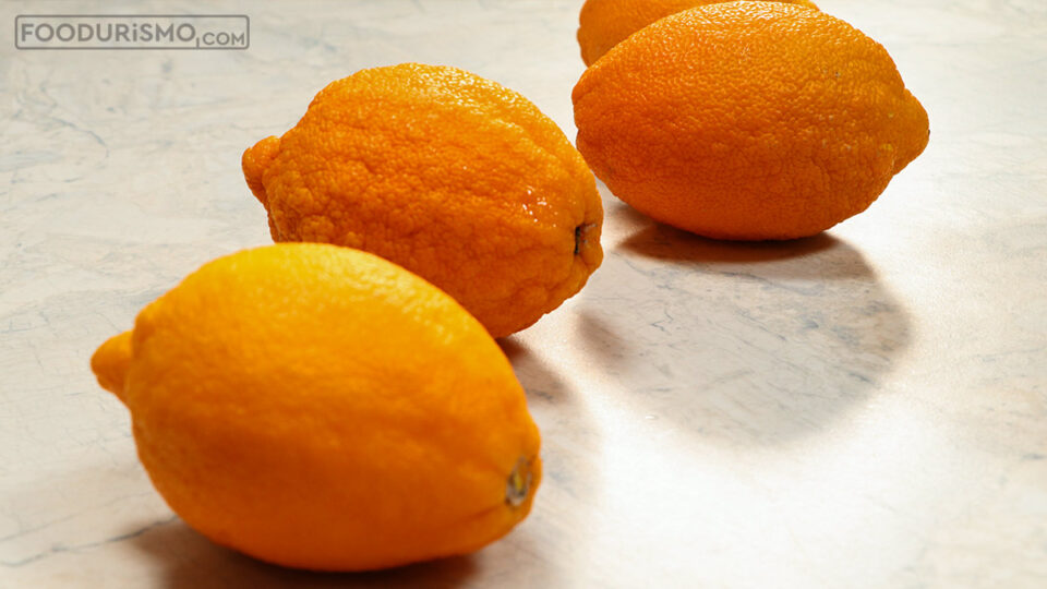 περγαμόντα